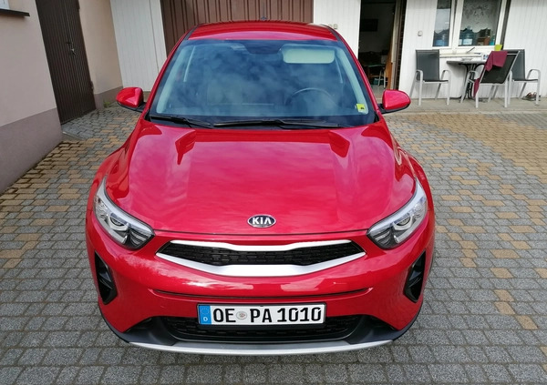 Kia Stonic cena 66700 przebieg: 50000, rok produkcji 2020 z Sławków małe 667